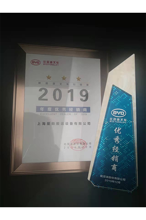 嘉兴市比亚迪2019优秀经销商