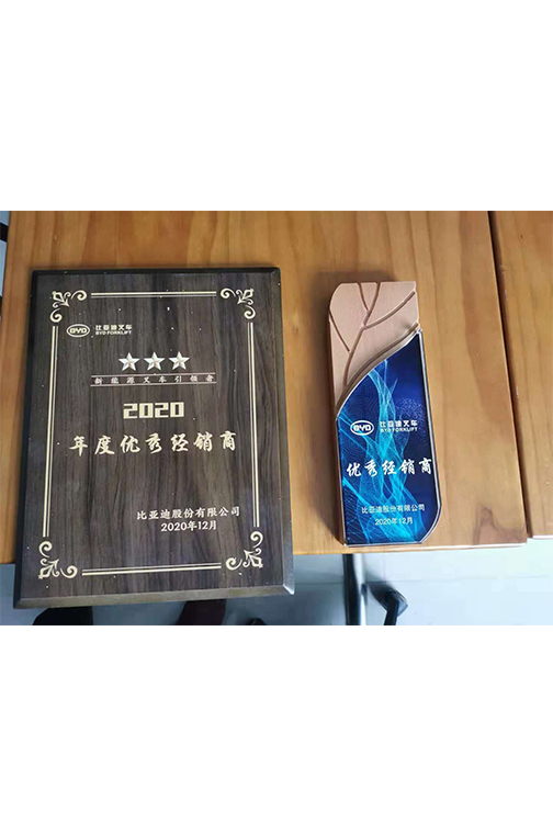 嘉兴市比亚迪2020优秀经销商